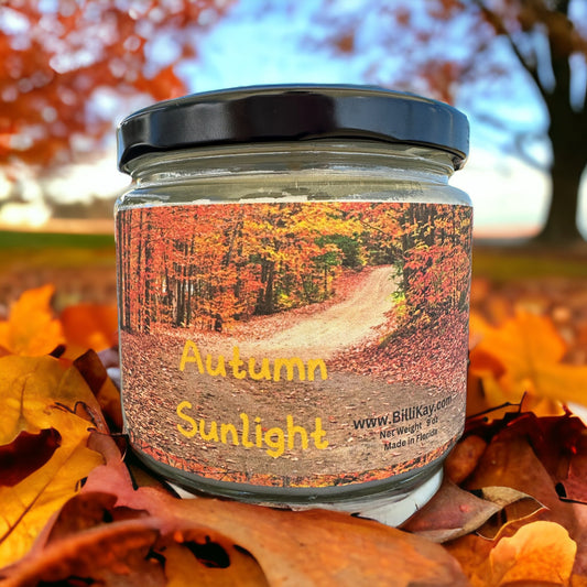 Autumn Sunlight