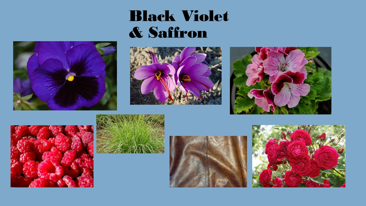 Black Violet & Saffron