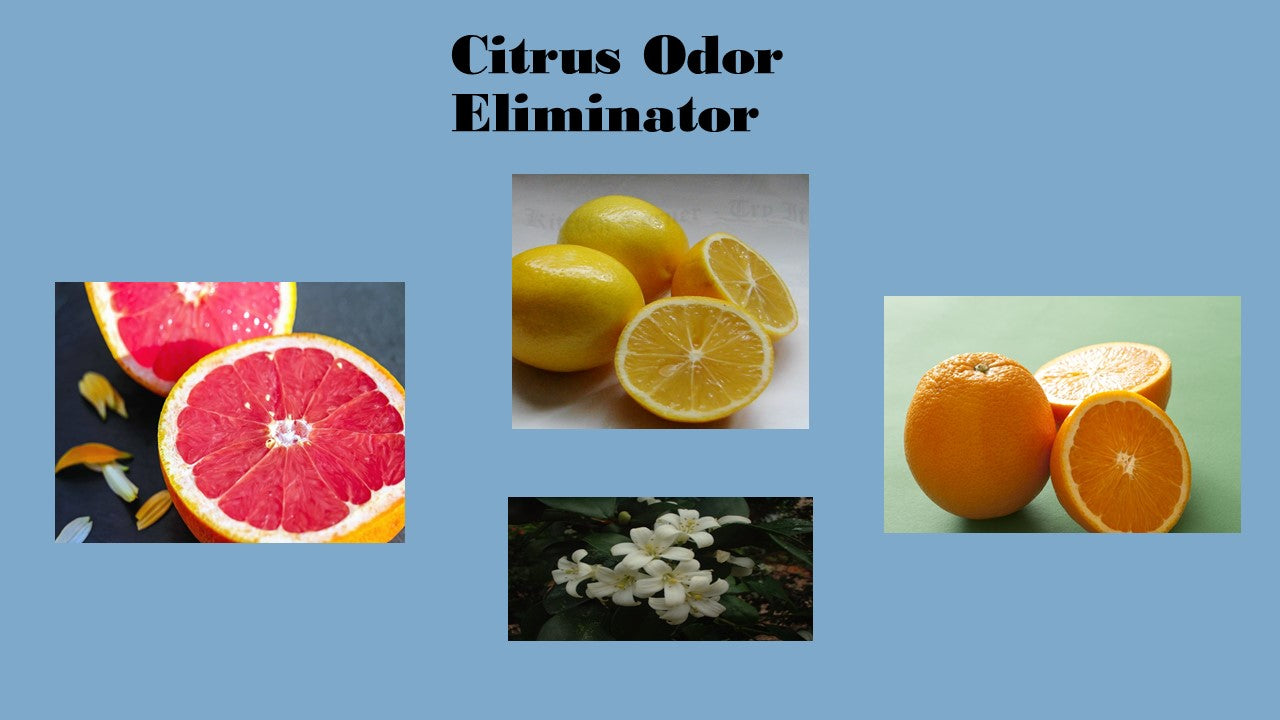 Citrus Odor Eliminator