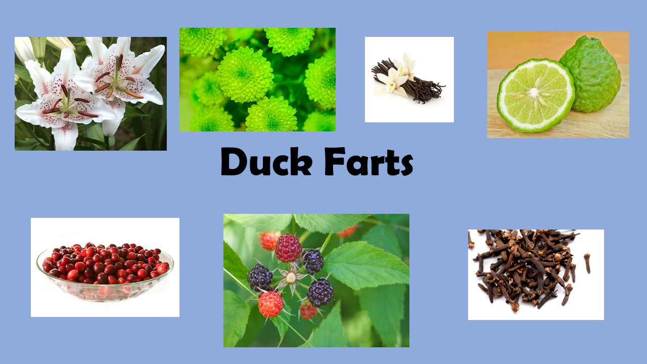 Duck Farts